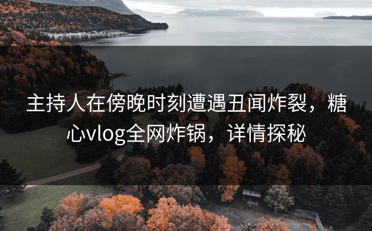 主持人在傍晚时刻遭遇丑闻炸裂,糖心vlog全网炸锅,详情探秘 主持人在傍晚时刻遭遇丑闻炸裂,糖心vlog全网炸锅,详情探秘