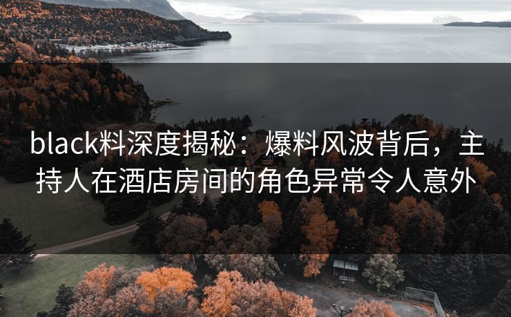 black料深度揭秘：爆料风波背后，主持人在酒店房间的角色异常令人意外